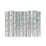 Linear Foot of Metallic Silver Books