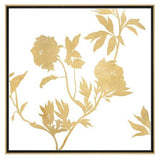 Golden Paragon II