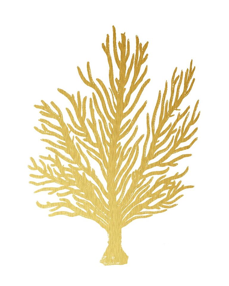 Blush Coral II