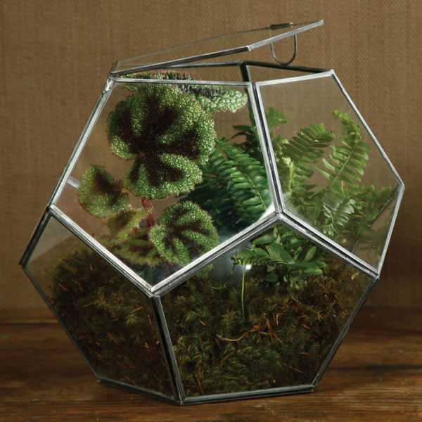 Pierre Faceted Terrarium - Lrg - Zinc