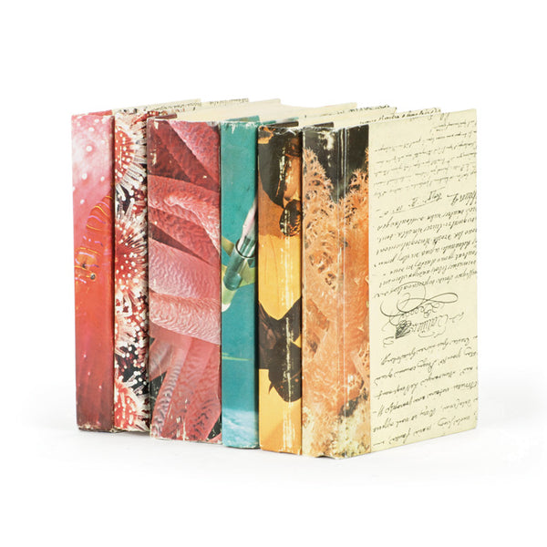 Linear Foot of Nat Geo Vintage Recycle Books