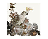 Dutch Feathers Pink I