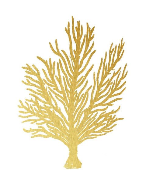 Blush Coral II